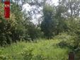 Prodej stavebn parcely, okr. Hradec Krlov, Hradec Krlov, Smiice