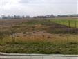 Prodej pozemku ke stavb Majetn 1633m2 10min. Olomouc, Majetn,Poln