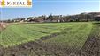Prodej STP 1320 m2, Moutnice, okr. Brno - venkov